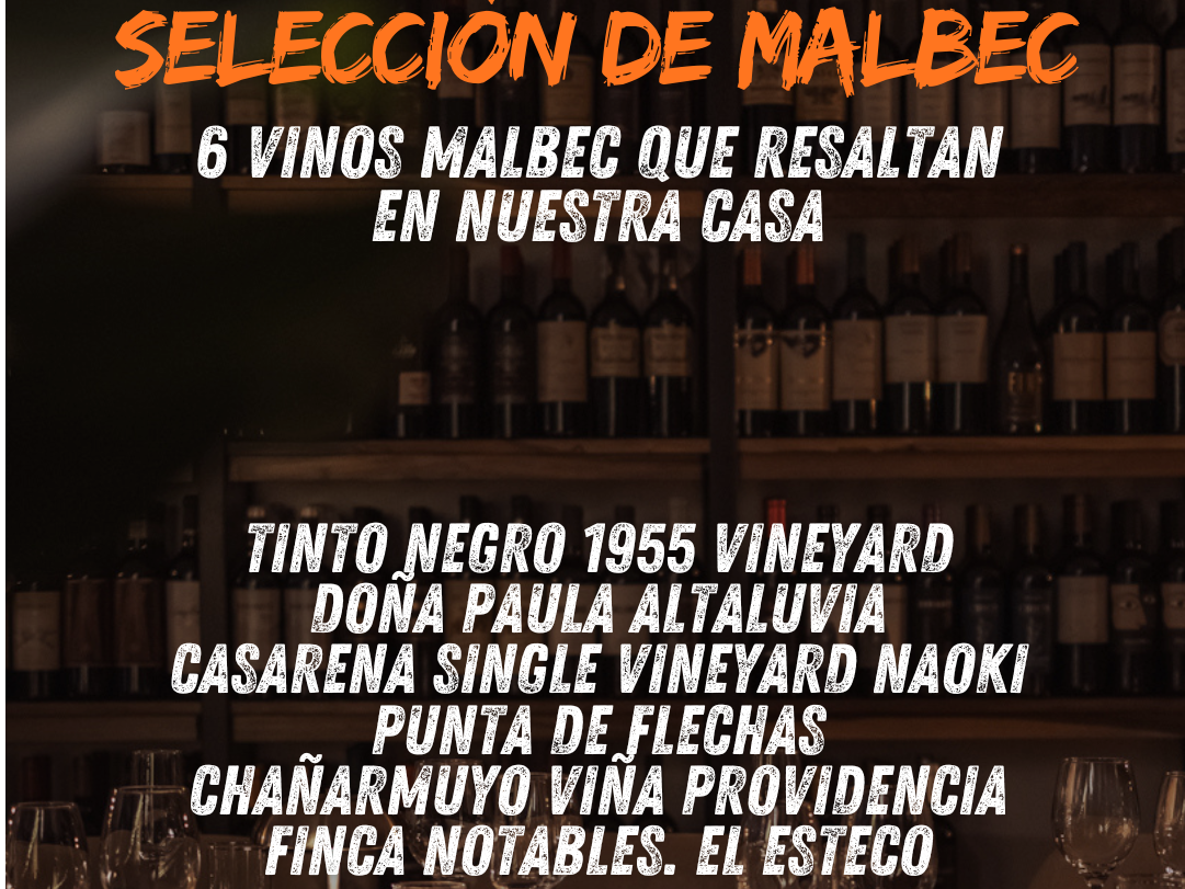 Combo Selección de Malbec