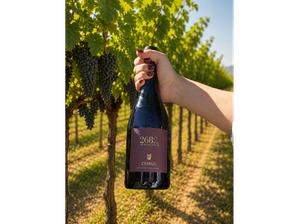Malbec Reserva 2682 x6 un. de Bodega Cereus