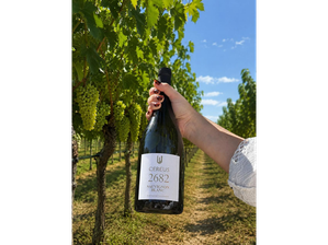 Sauvignon Blanc 2682 caja x6 un. de Bodega Cereus