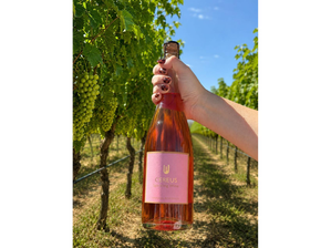 Rosado Dulce - Caja x6 un. de Bodega Cereus