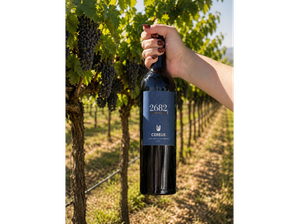 Malbec 2682 - Caja x6 un. de Bodega Cereus