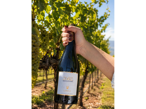 Chardonnay 2682 caja x6 un. de Bodega Cereus