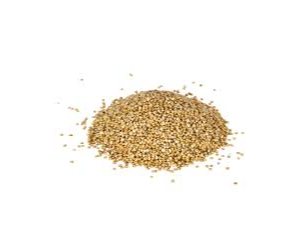 Semillas de Quinoa Real