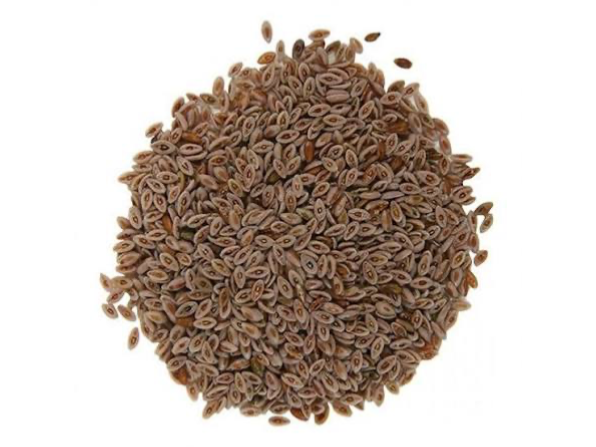 Semillas de Psyllium