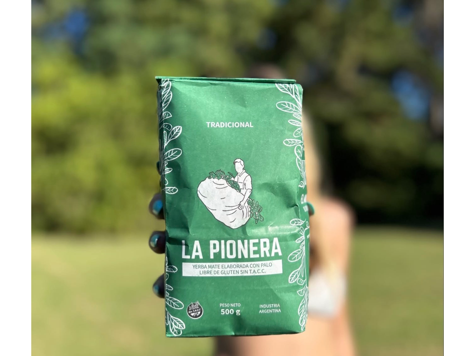 PACK 5U Yerba Mate Tradicional LA PIONERA SIN TACC