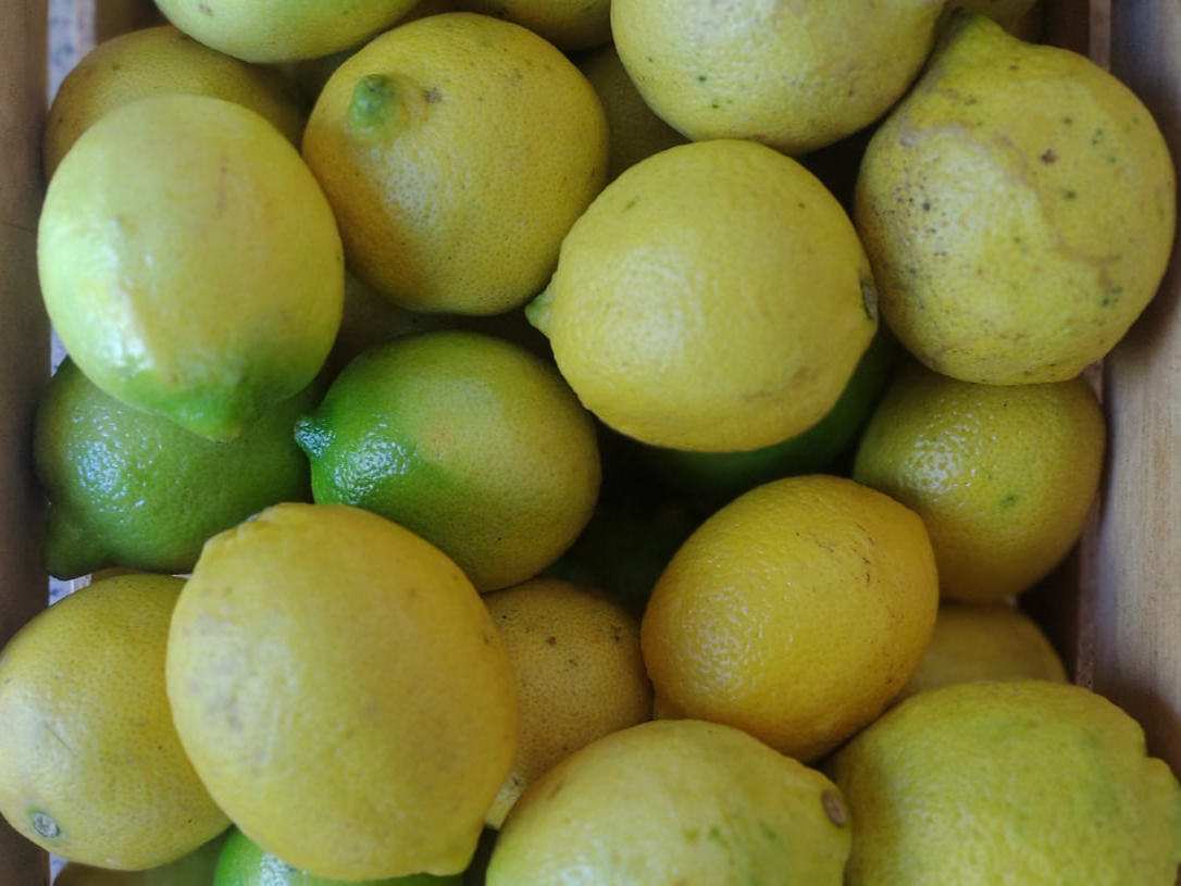 Limón Tucumano 🍋