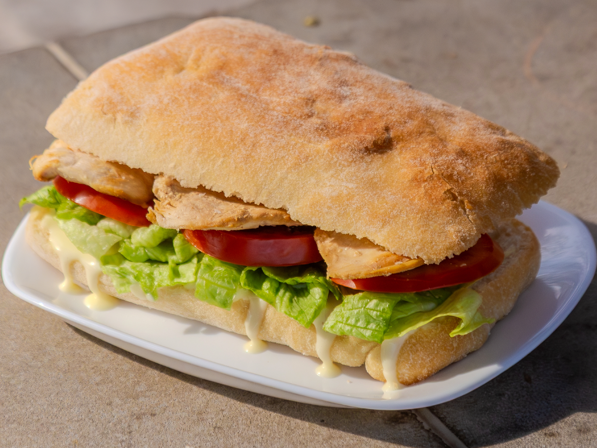 Sand. Pollo Simple
