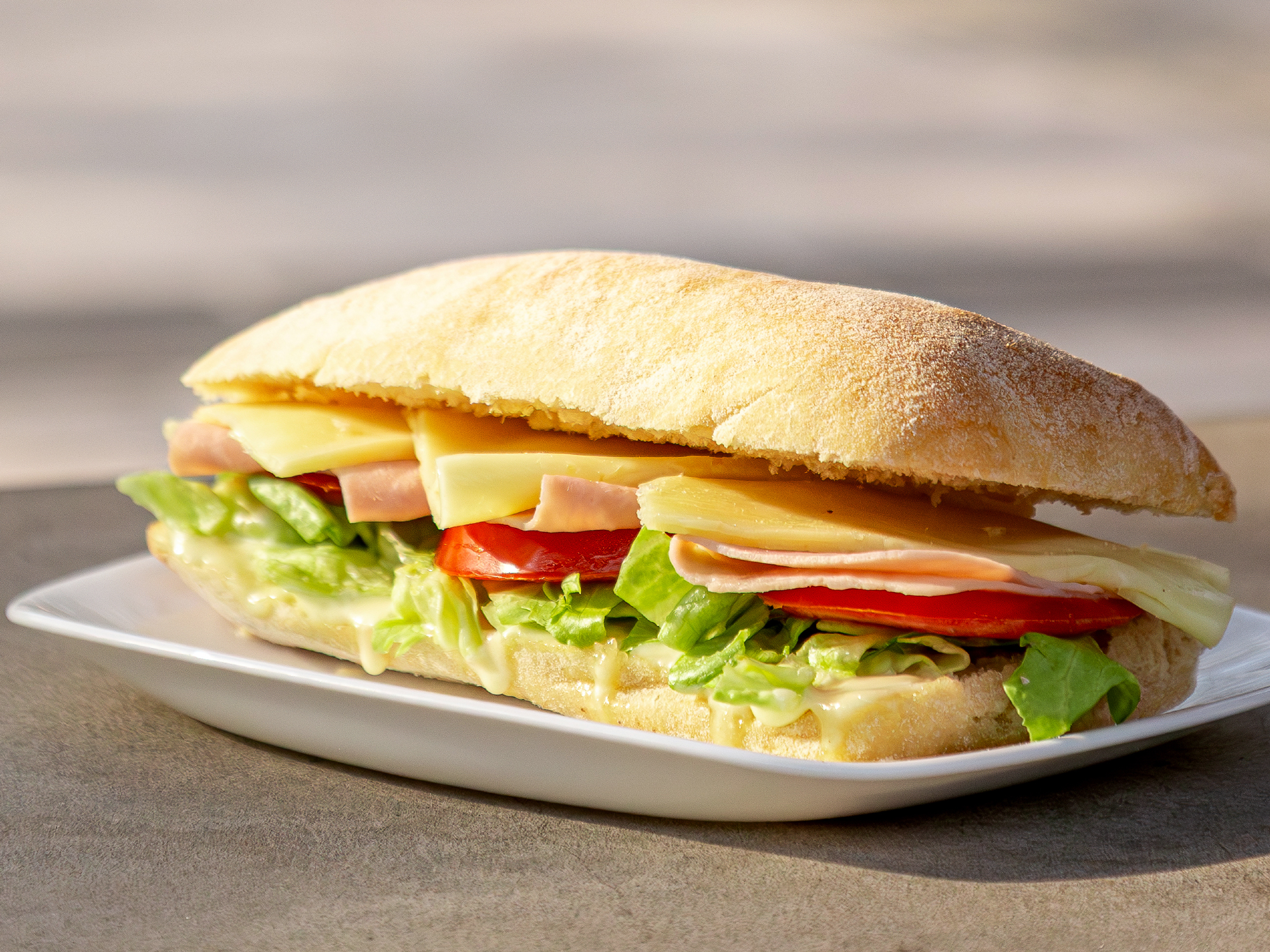 Sand Jamón y Queso