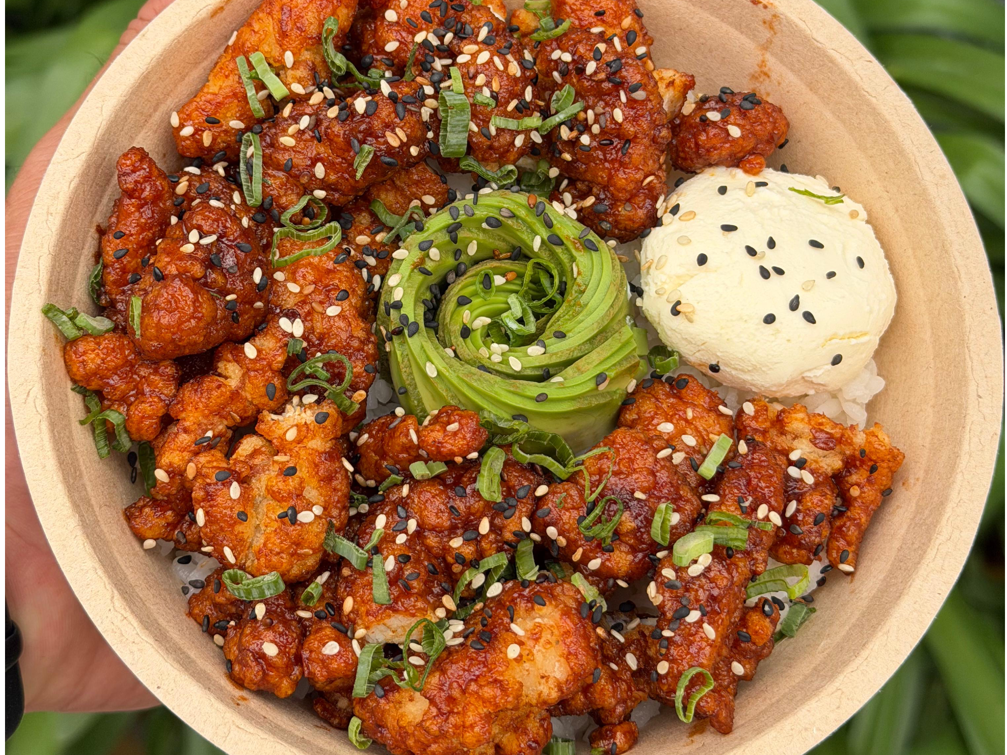 Gohan Pollo Crispy Teppan + Bebida + Salsa (Mediodía)