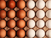 Huevos