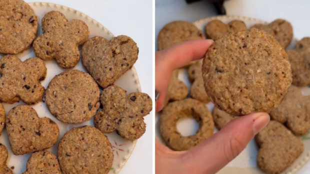 galletas integrales/tostadas/fajitas