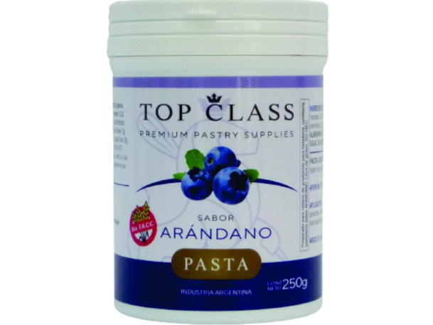 PASTA SABORIZANTE ARANDANO TOP CLASS X 250 G