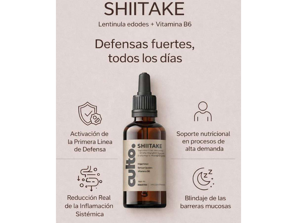 Shiitake