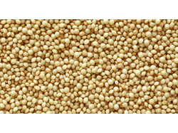 Semilla de amaranto 1 kilo