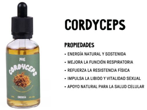 Cordyceps Adaptogeno Doble Extracto