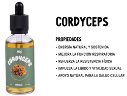 Cordyceps Adaptogeno Doble Extracto