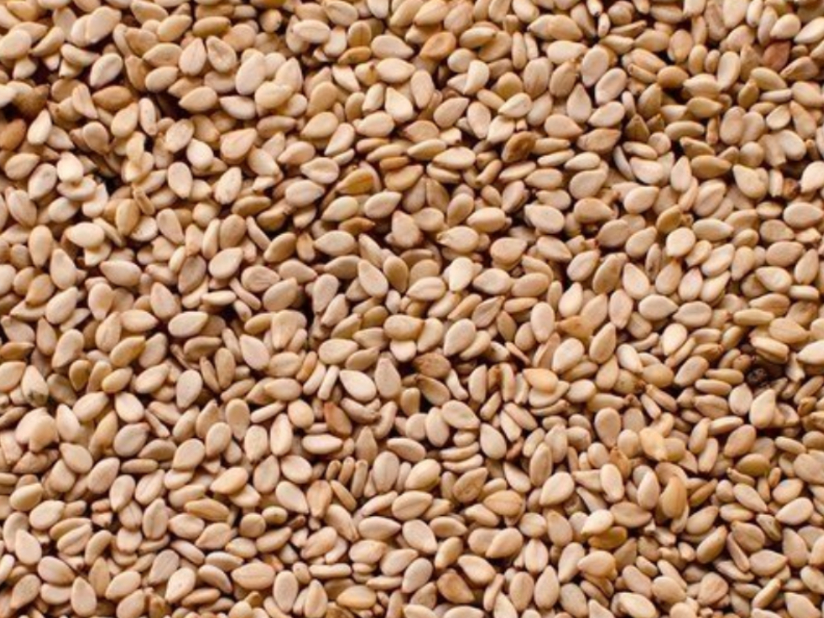 Sesamo integral 1 kilo