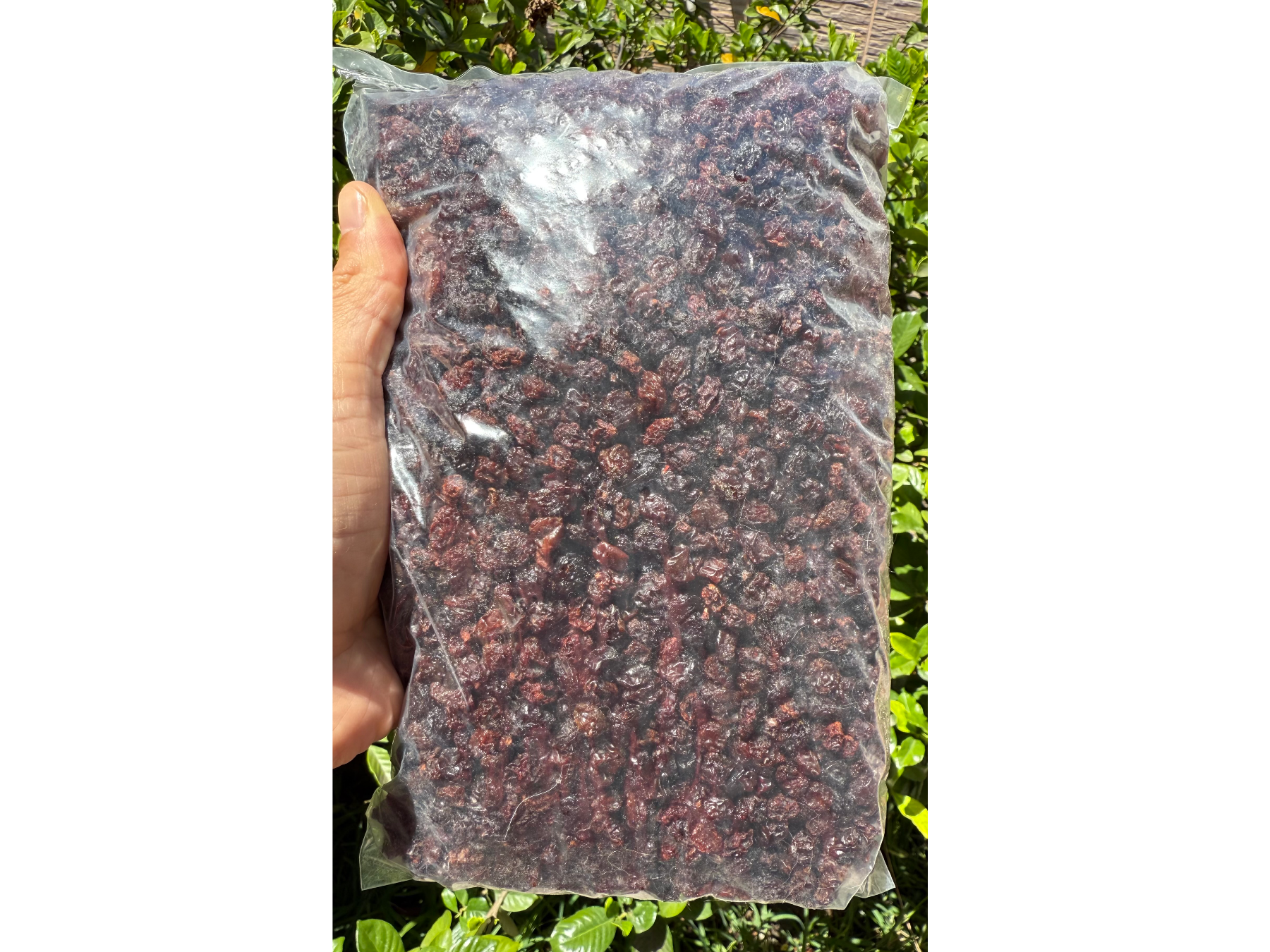 Pasas de uva chicas 1 kilo
