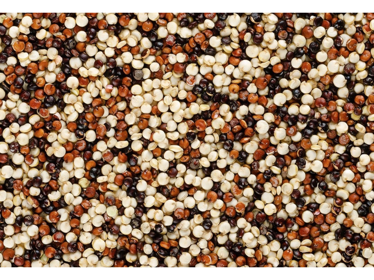 Quinoa tricolor 1 kilo