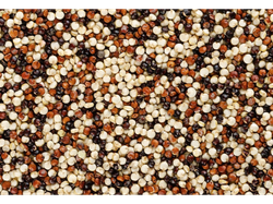 Quinoa tricolor 1 kilo