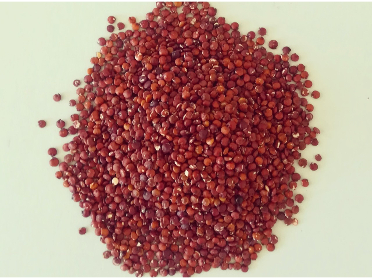 Quinoa roja 1 kilo