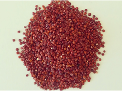 Quinoa roja 1 kilo