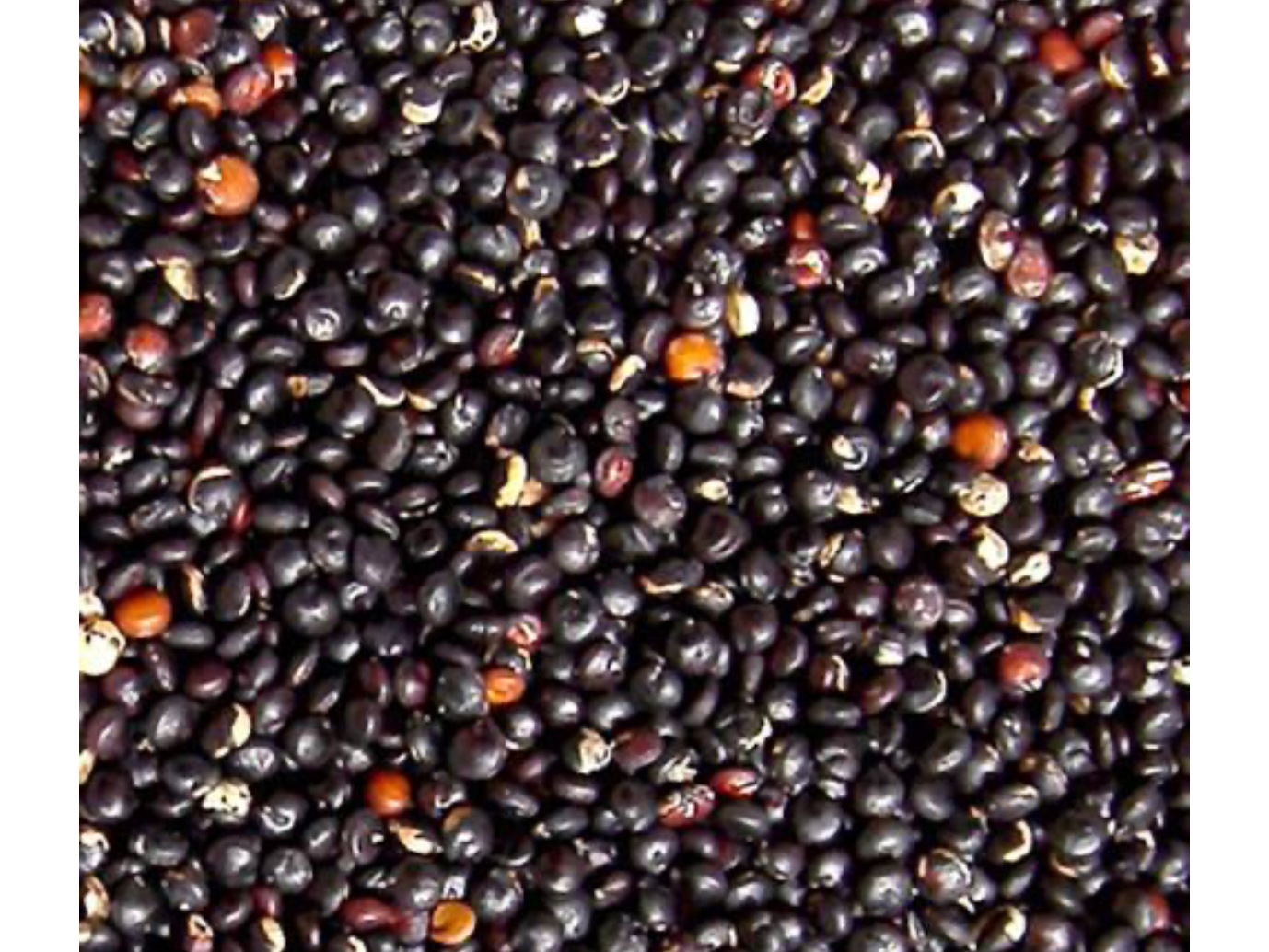 Quinoa negra 1 kilo