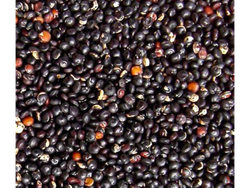 Quinoa negra 1 kilo