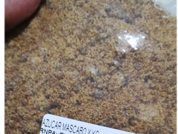 Azúcar mascabo 1 kilo