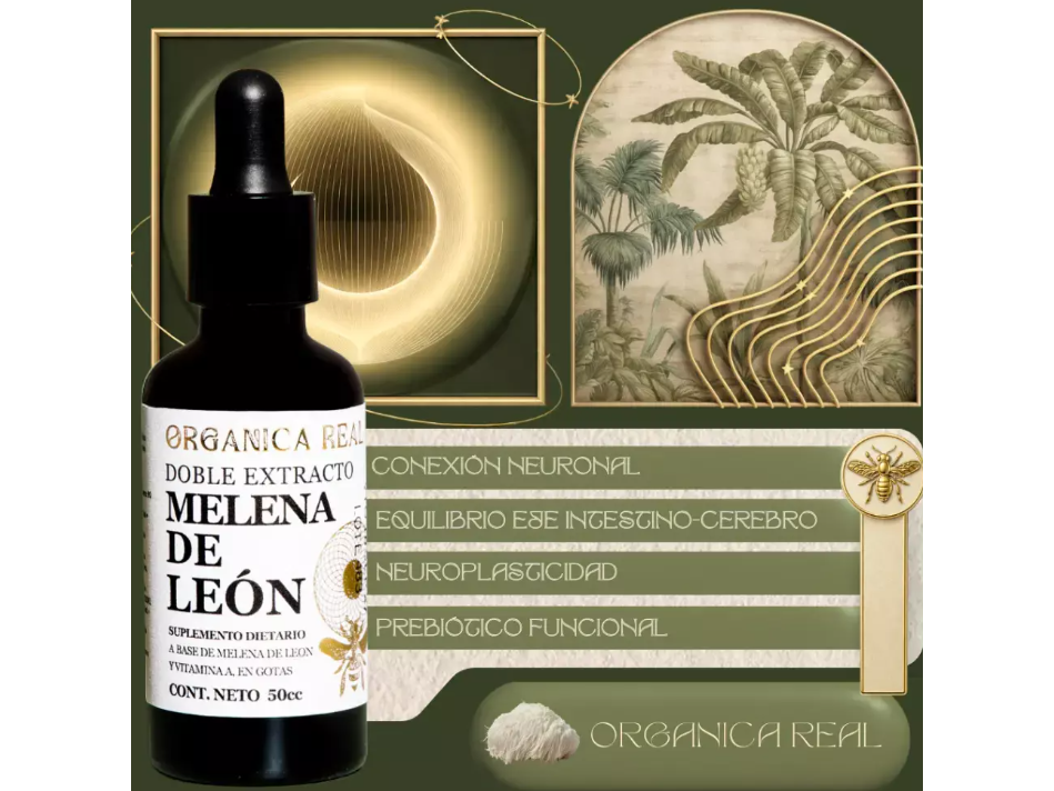 TINTURA MADRE DE MELENA DE LEON 50cc