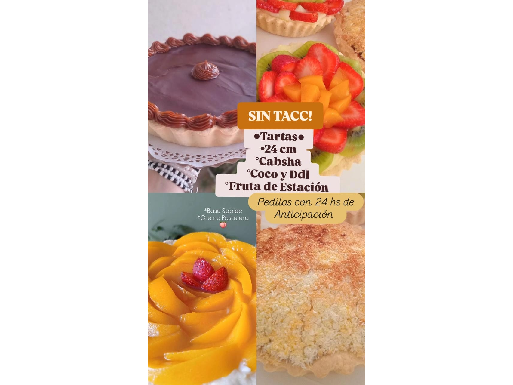 Tartas cabsha, ddl y coco, fruta de estacion 24CM