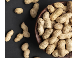 Maní con cáscara boliviano 1 kilo