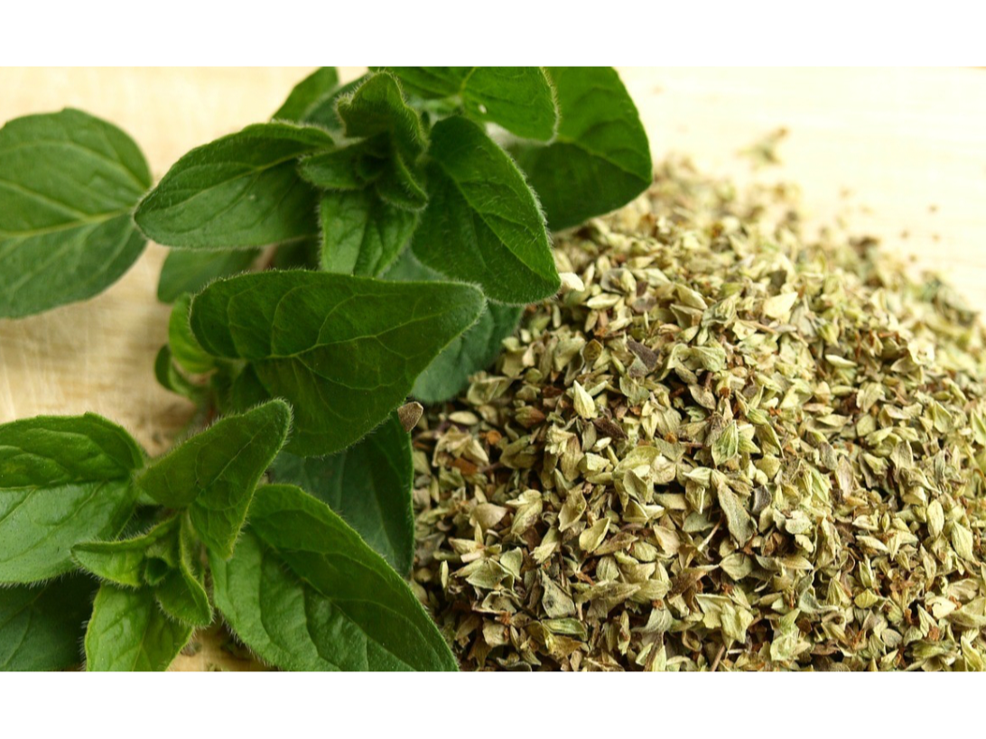 Oregano