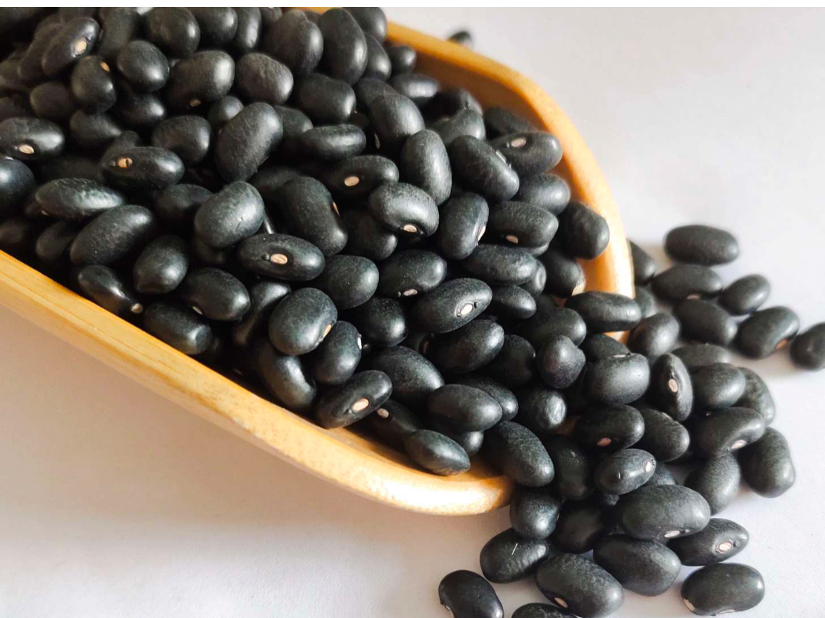 Poroto negro 1 kilo