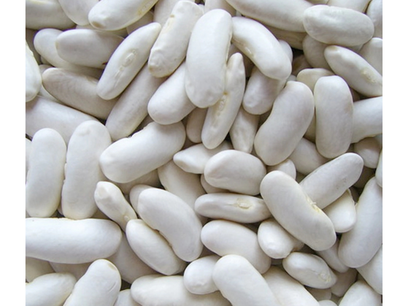 Poroto alubia 1 kilo