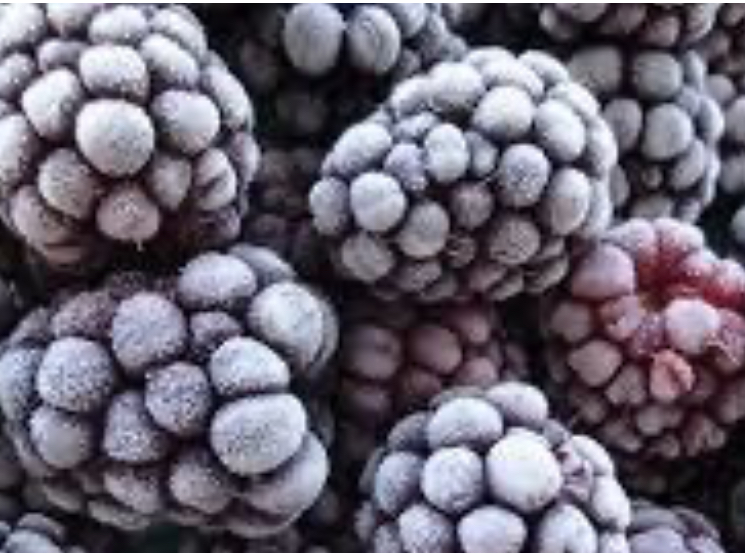 Moras 1 kilo