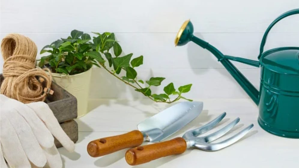 Diseño y Mantenimiento de Espacios Verdes