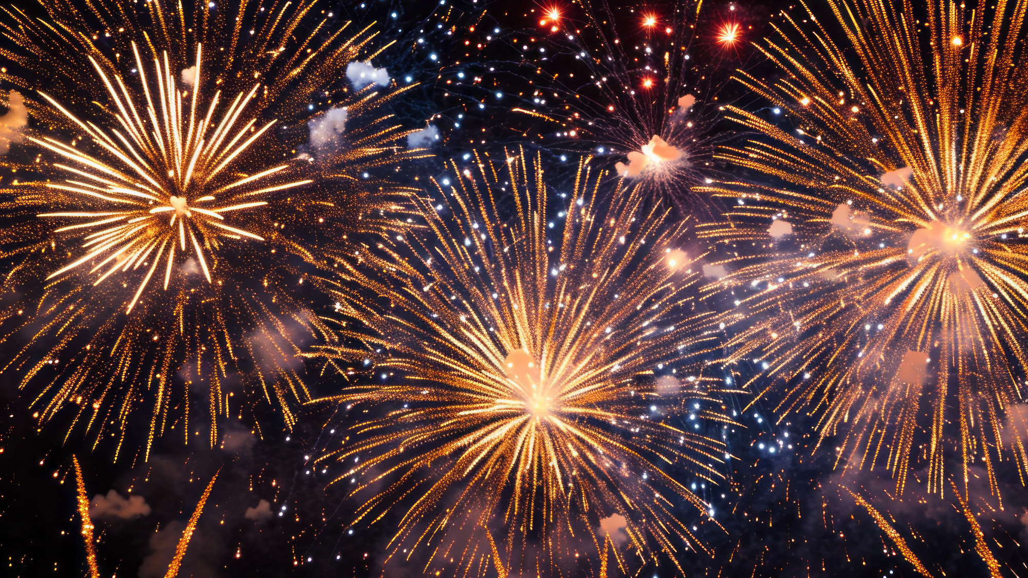 Bases Misilisticas y Tortas