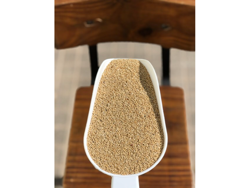 SEMILLA DE QUINOA