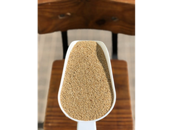 SEMILLA DE QUINOA