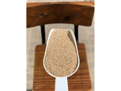 SEMILLA DE SESAMO INTEGRAL