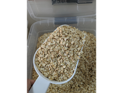 AVENA GRUESA