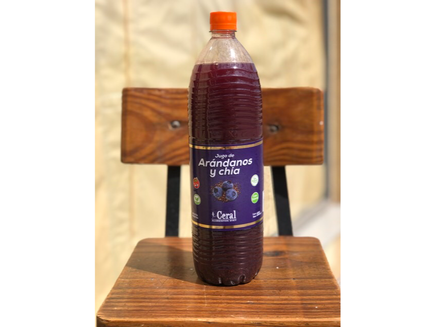 JUGÓ DE ARÁNDANOS CON CHIA X UNIDAD