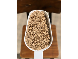 BASTONCITO SALVADO NUTRIFOOD'S