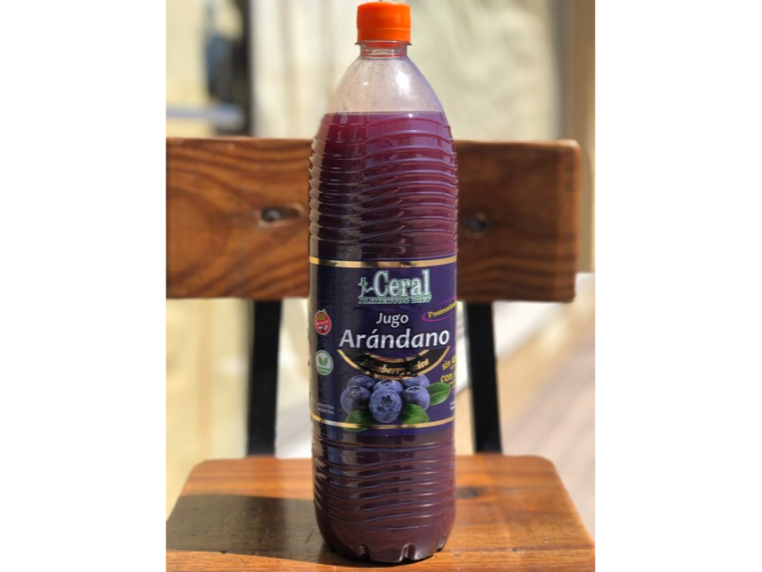 JUGO DE ARANDANOS DIET X 1,5 LT