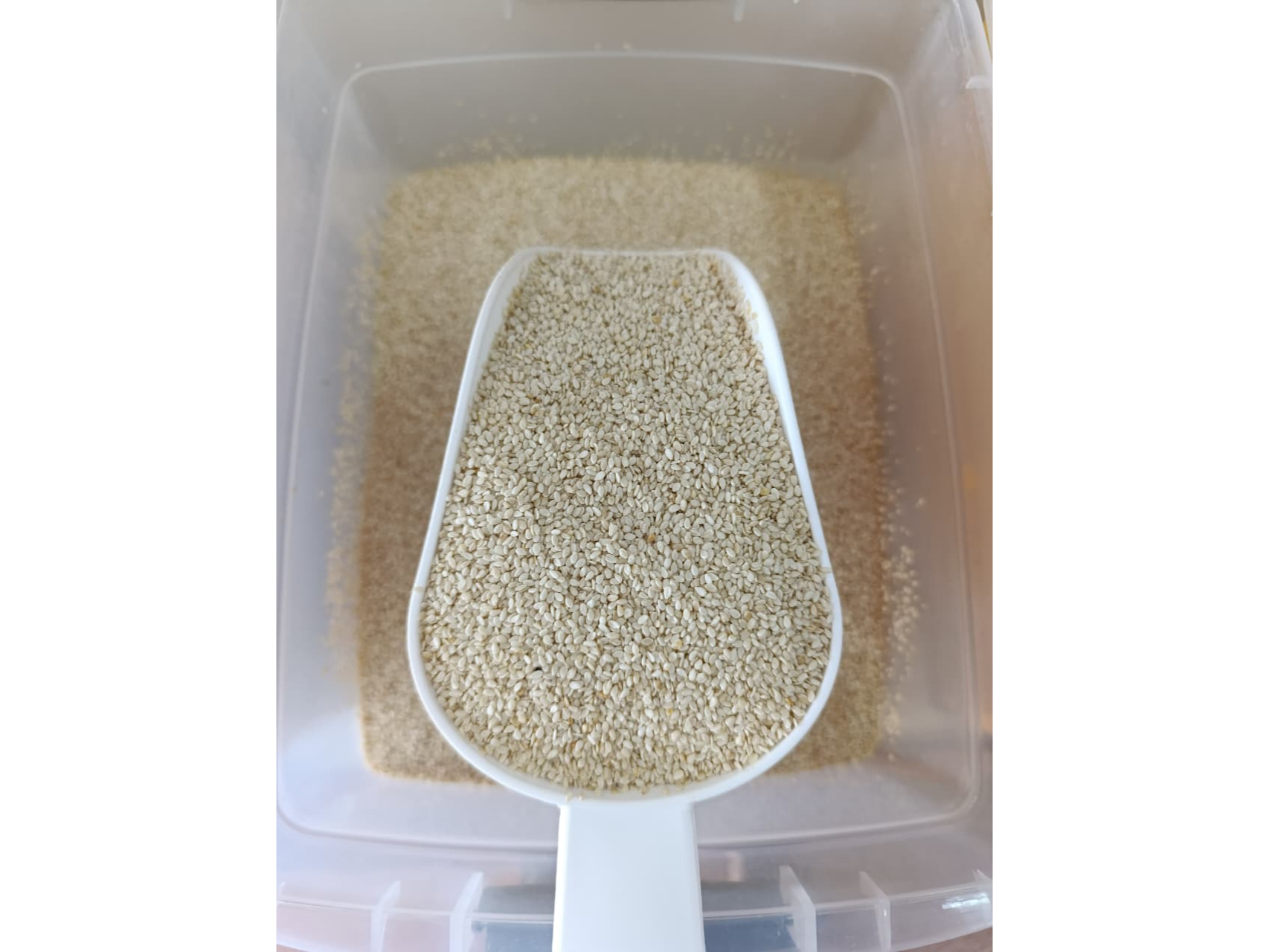 SEMILLA DE SÉSAMO BLANCO