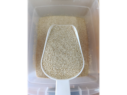 SEMILLA DE SÉSAMO BLANCO