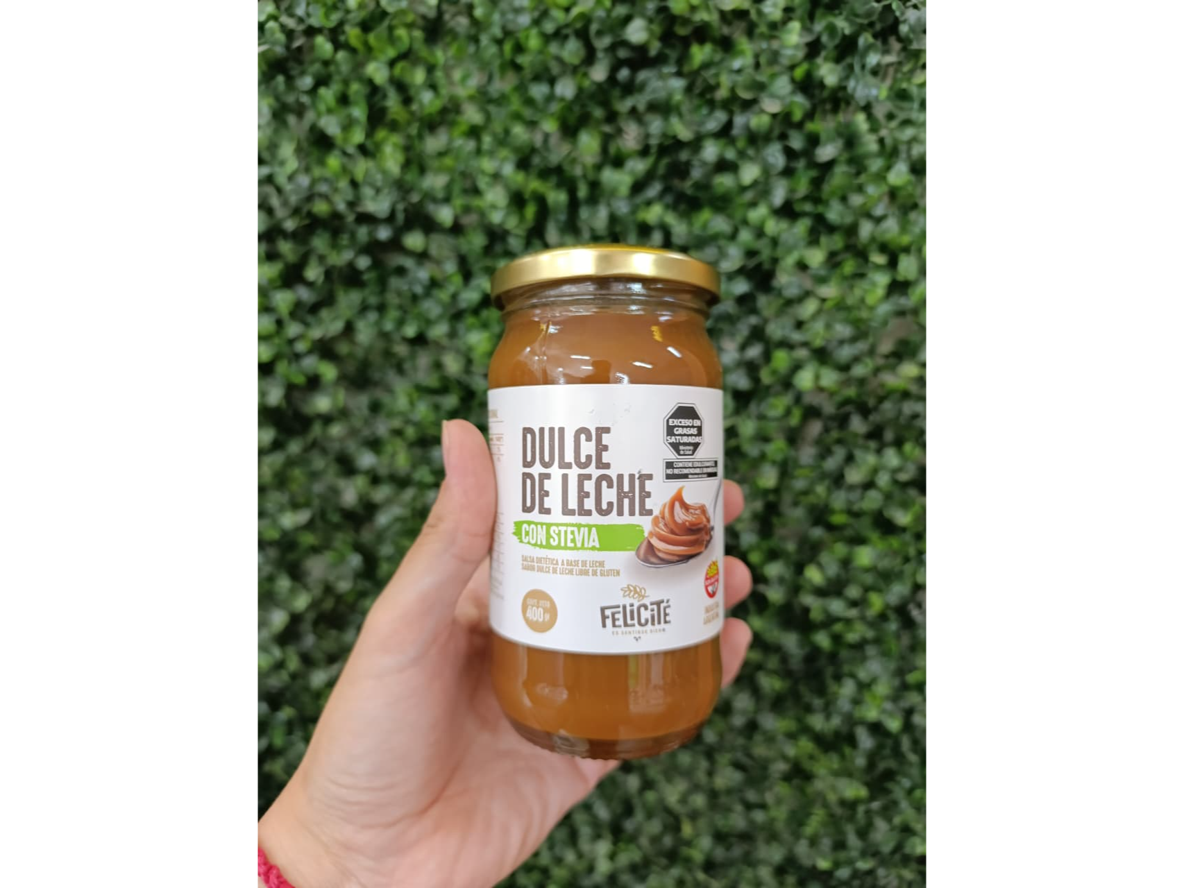 DULCE DE LECHE SIN AZUCAR X 400GR