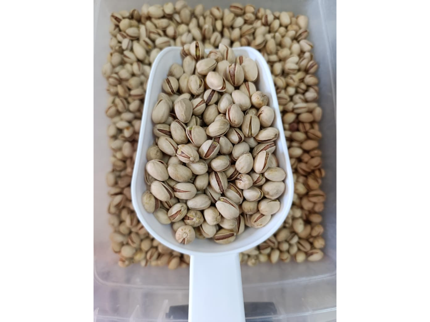 PISTACHOS CON CÁSCARA SALADOS