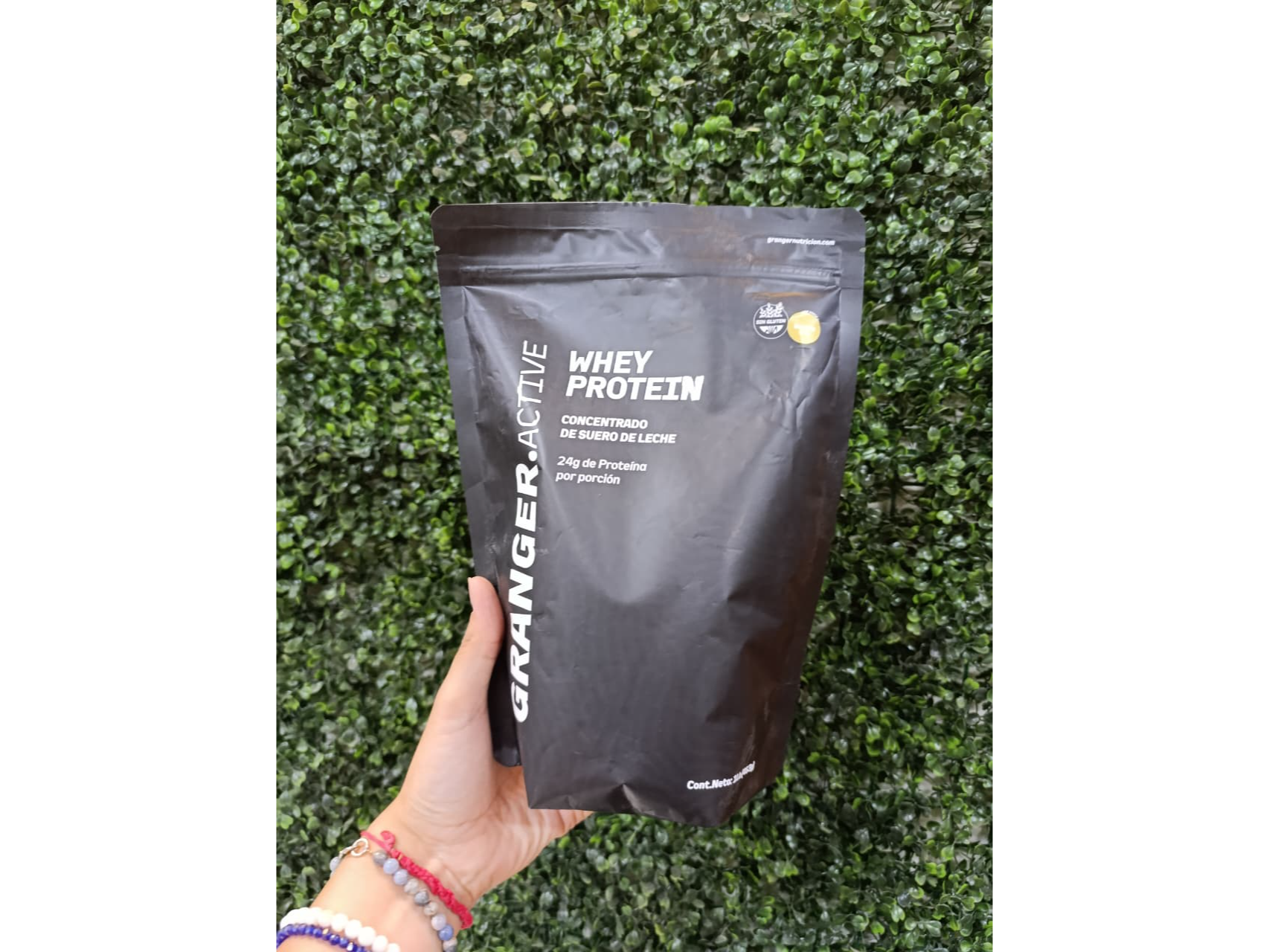 WHEY PROTEIN VAINILLA X453GR